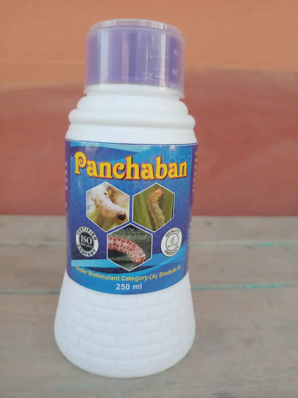 PANCHABAN